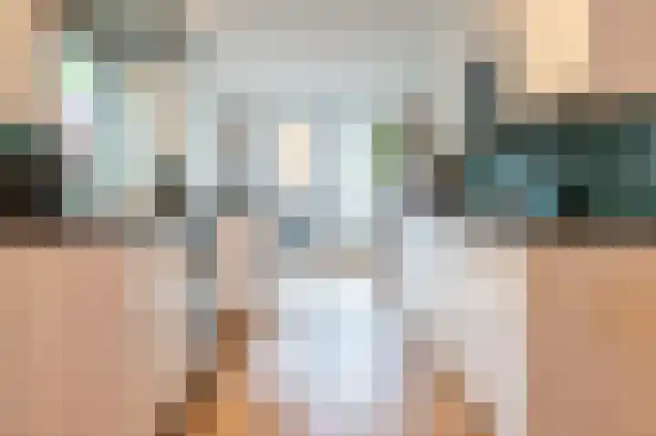 Bikolaan 53 Culemborg thumbnail 38