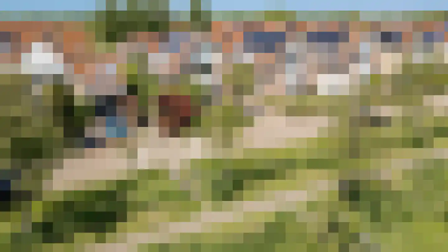 Bikolaan 53 Culemborg thumbnail 42