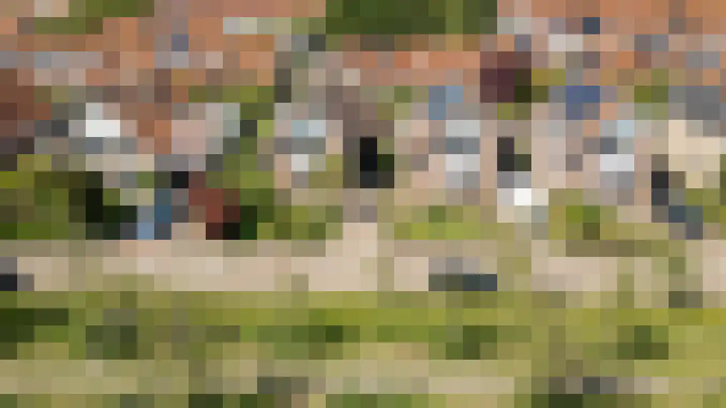 Bikolaan 53 Culemborg thumbnail 43
