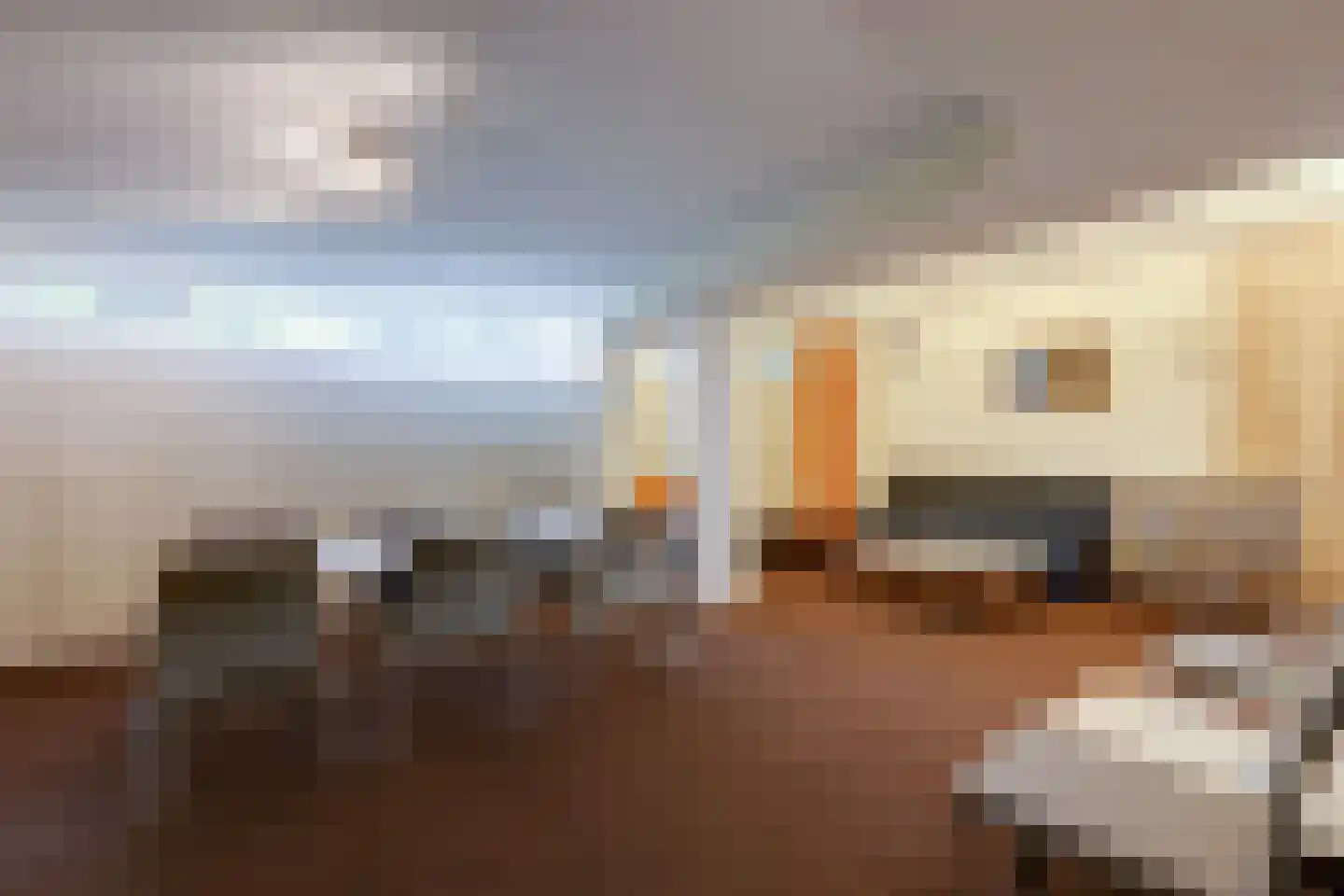 Bikolaan 53 Culemborg thumbnail 43