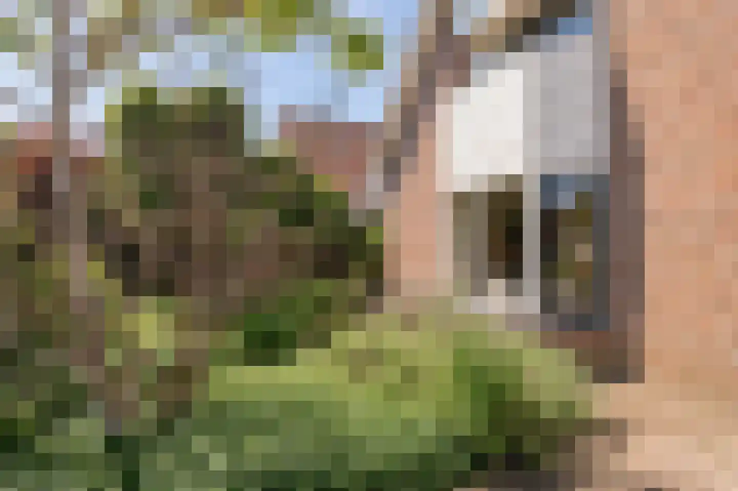 Bikolaan 53 Culemborg thumbnail 49
