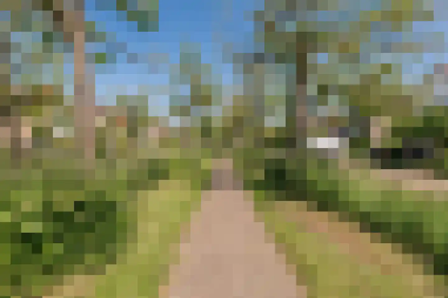 Bikolaan 53 Culemborg thumbnail 50