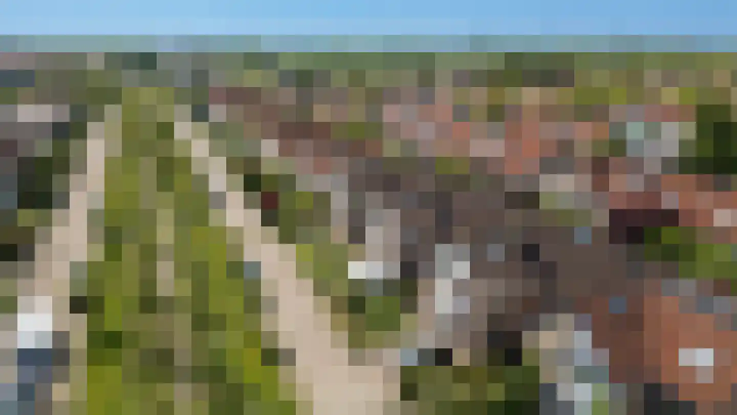Bikolaan 53 Culemborg thumbnail 51