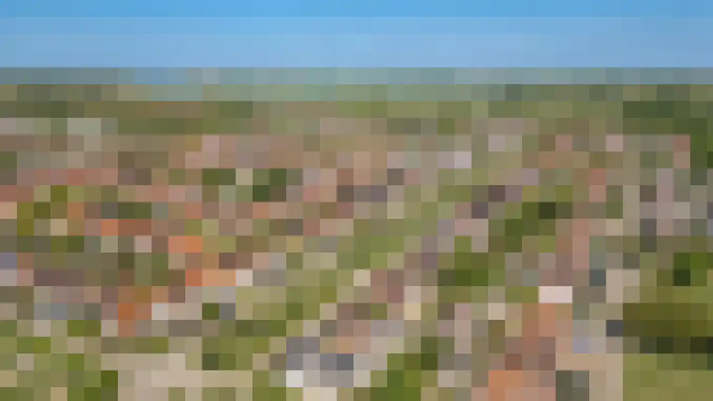 Bikolaan 53 Culemborg thumbnail 52