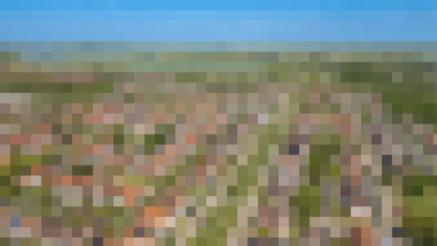 Bikolaan 53 Culemborg thumbnail 53