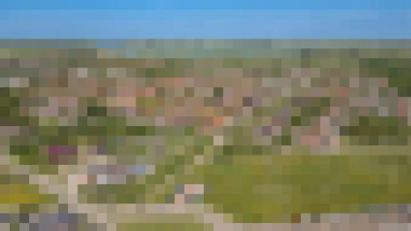 Bikolaan 53 Culemborg thumbnail 54