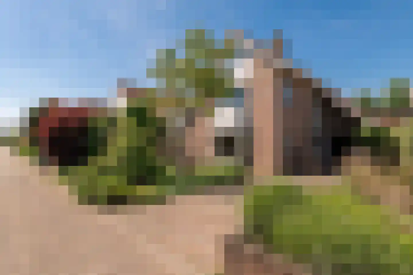 Bikolaan 53 Culemborg thumbnail 6