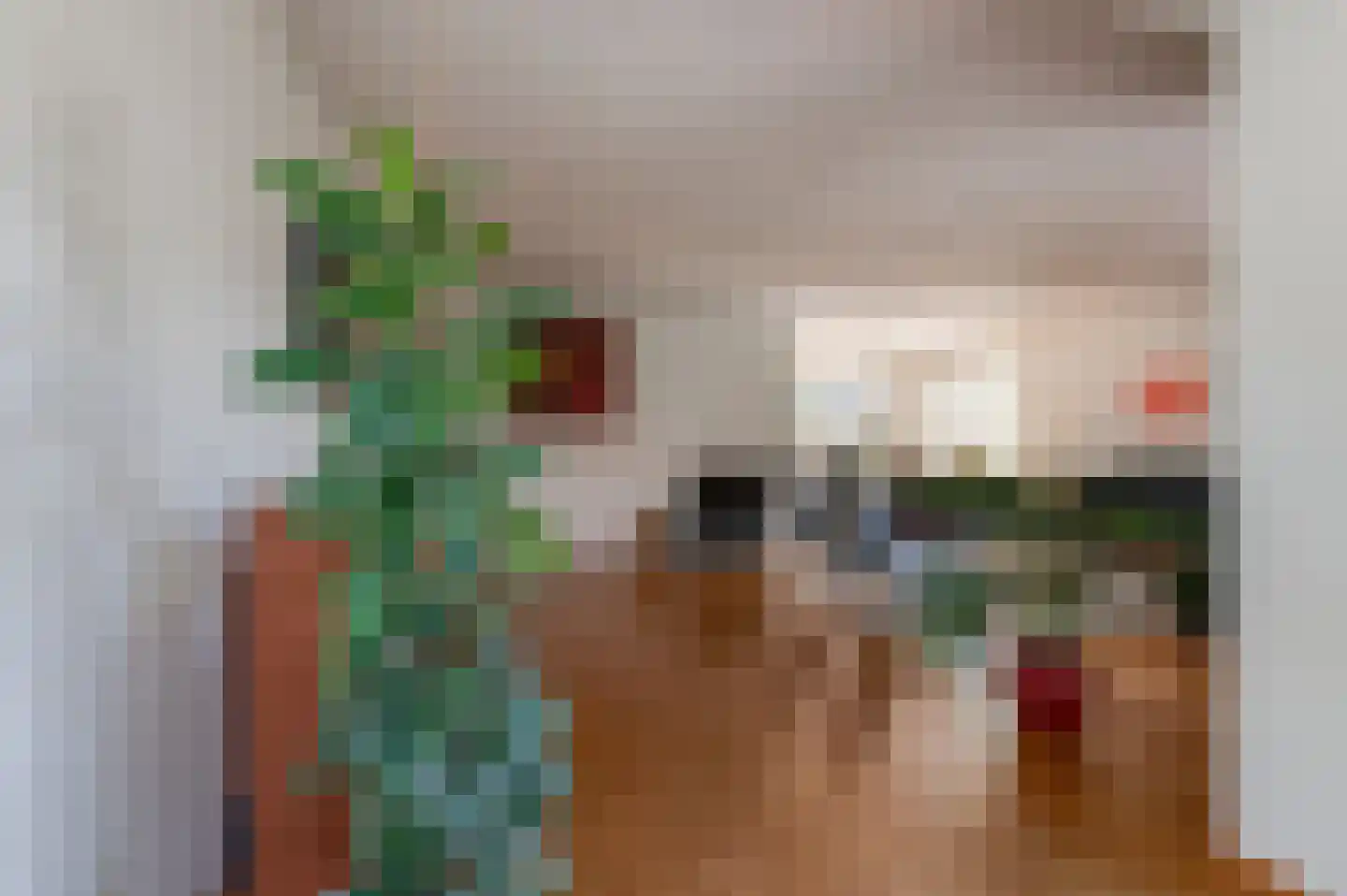 Bikolaan 55 Culemborg thumbnail 12