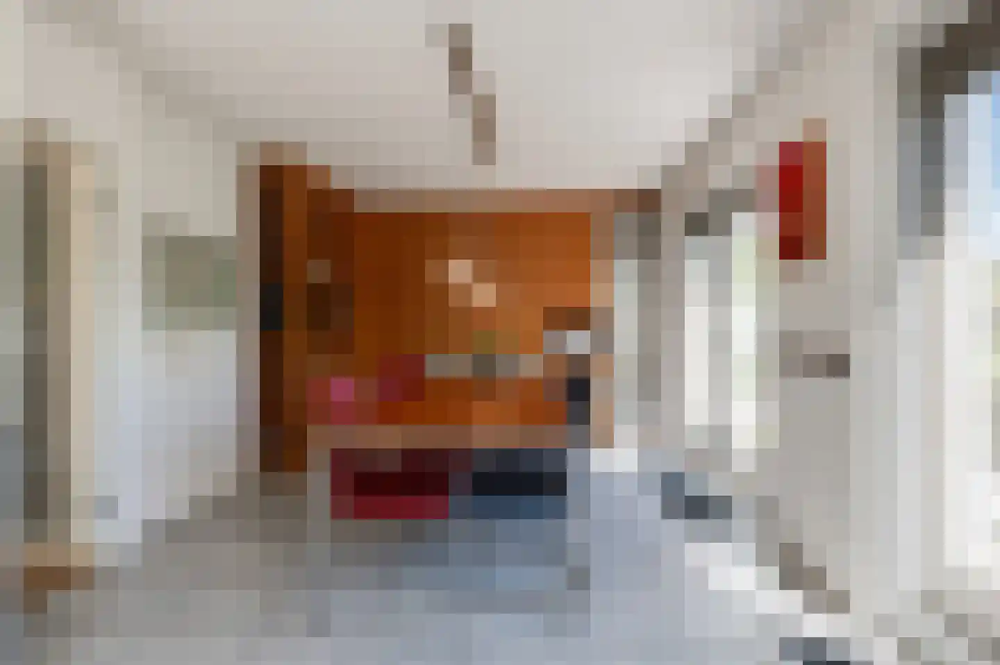 Bikolaan 55 Culemborg thumbnail 18