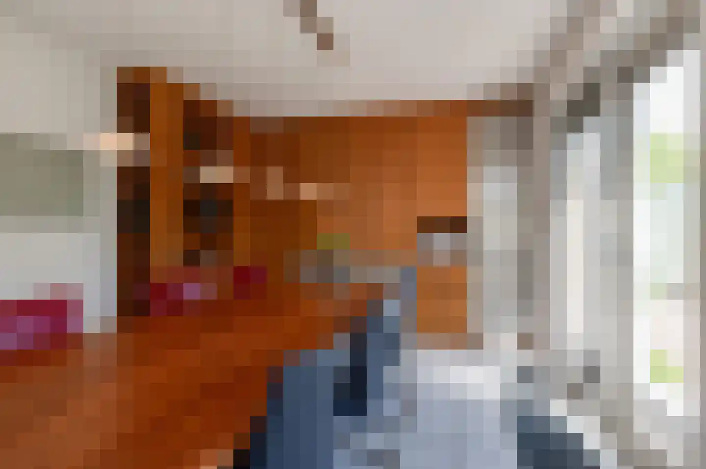 Bikolaan 55 Culemborg thumbnail 19