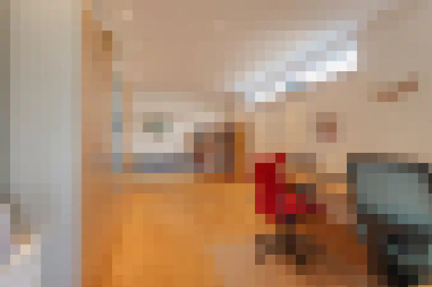 Bikolaan 55 Culemborg thumbnail 20