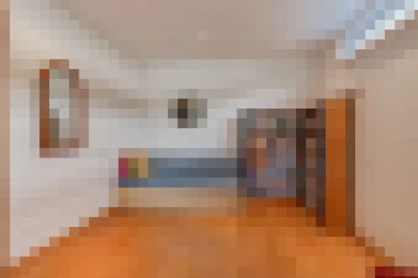 Bikolaan 55 Culemborg thumbnail 21