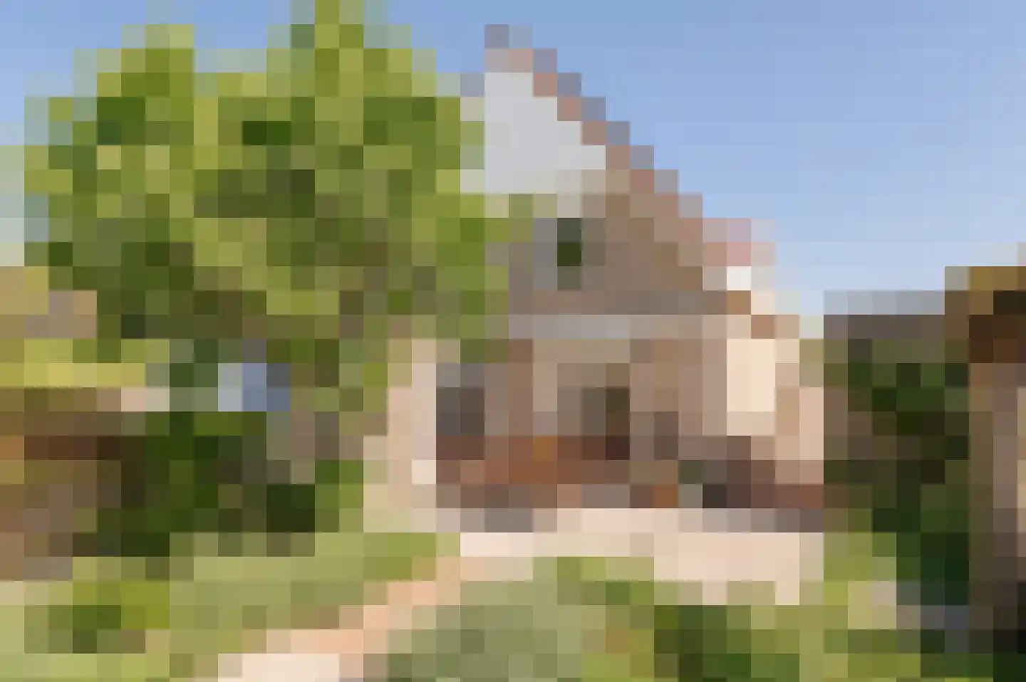 Bikolaan 55 Culemborg thumbnail 24