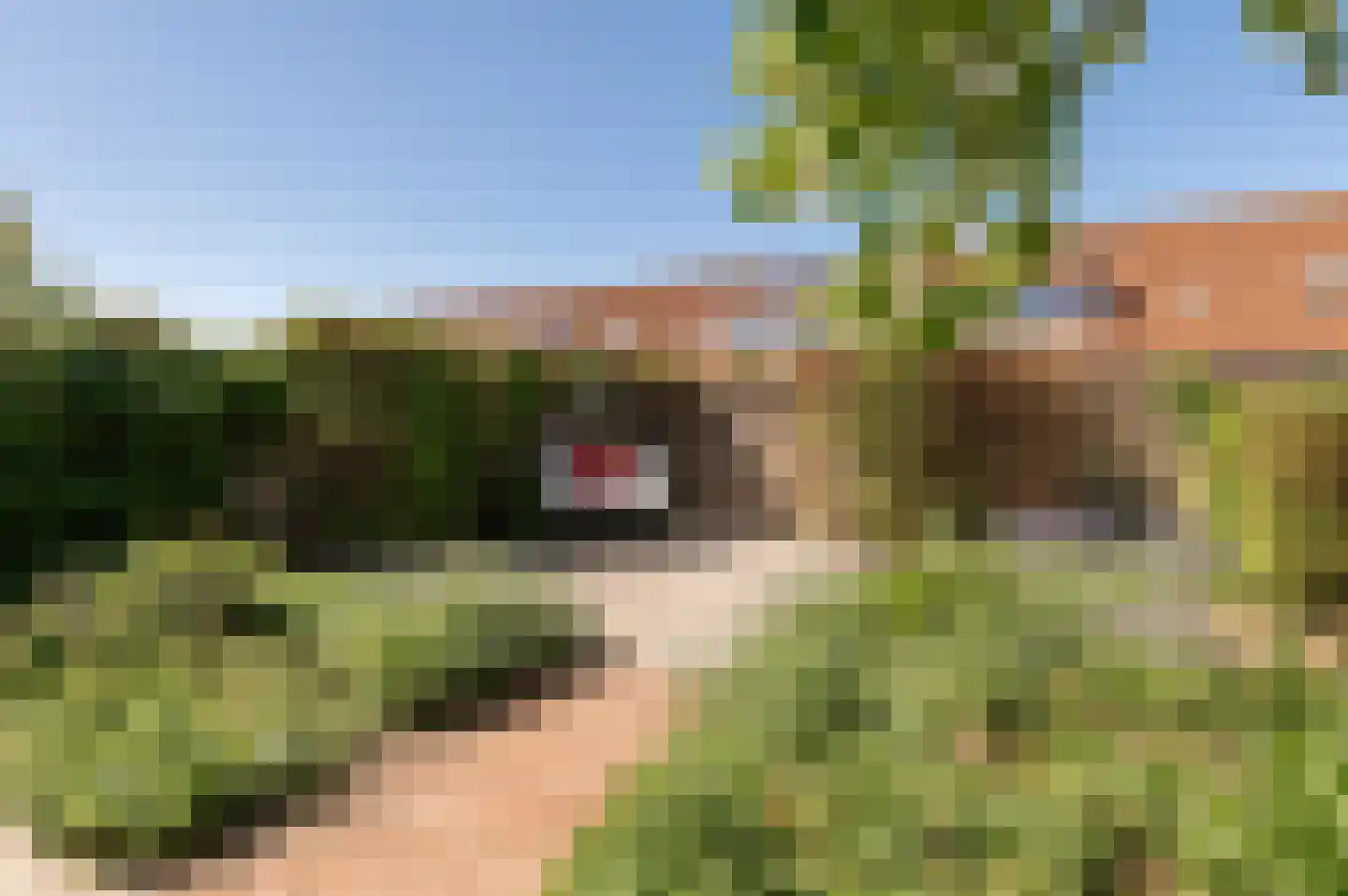 Bikolaan 55 Culemborg thumbnail 27