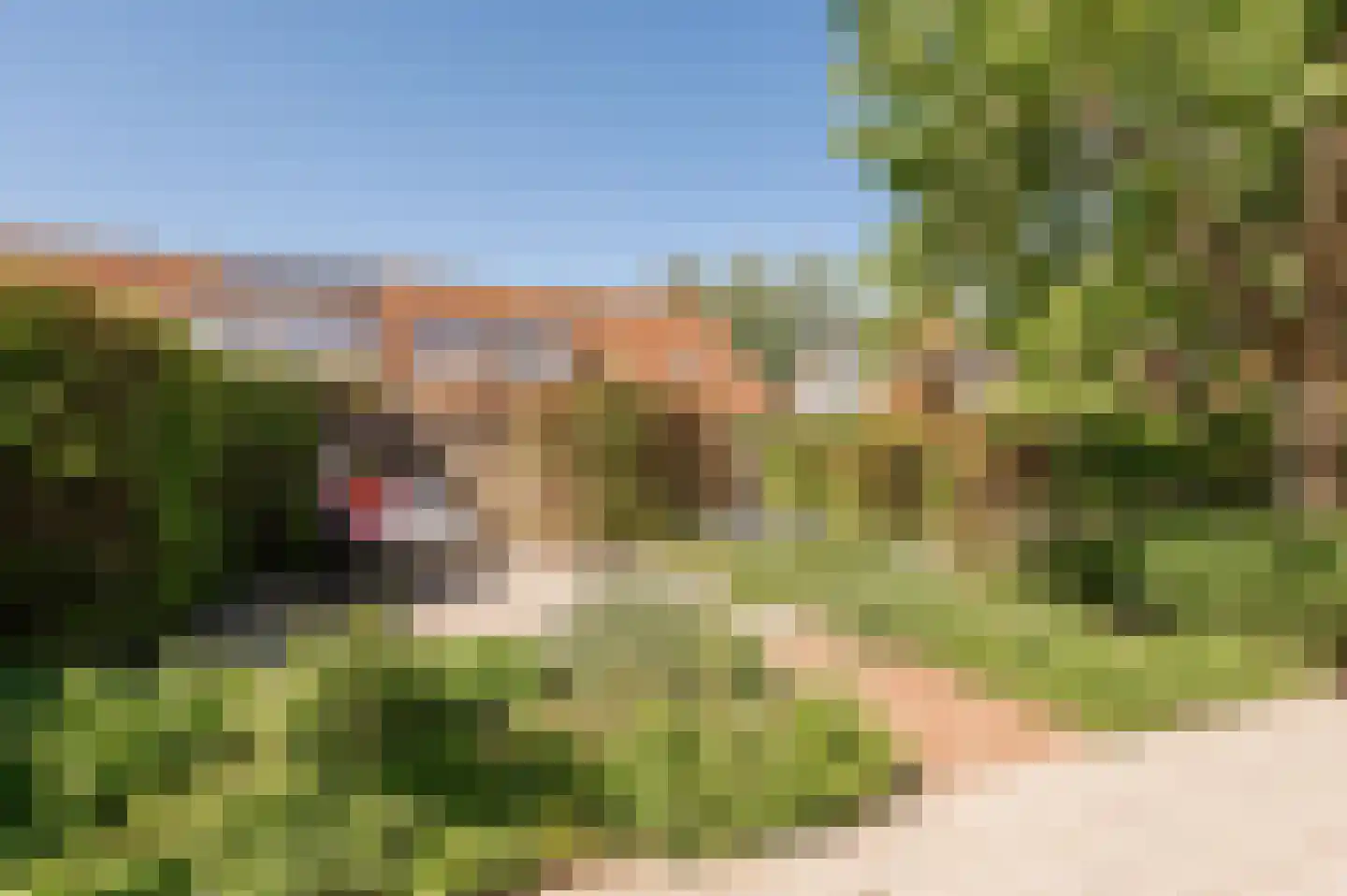 Bikolaan 55 Culemborg thumbnail 28