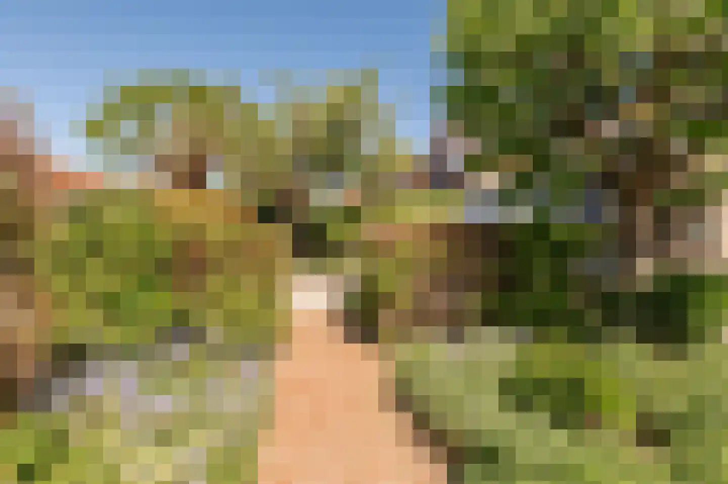 Bikolaan 55 Culemborg thumbnail 31