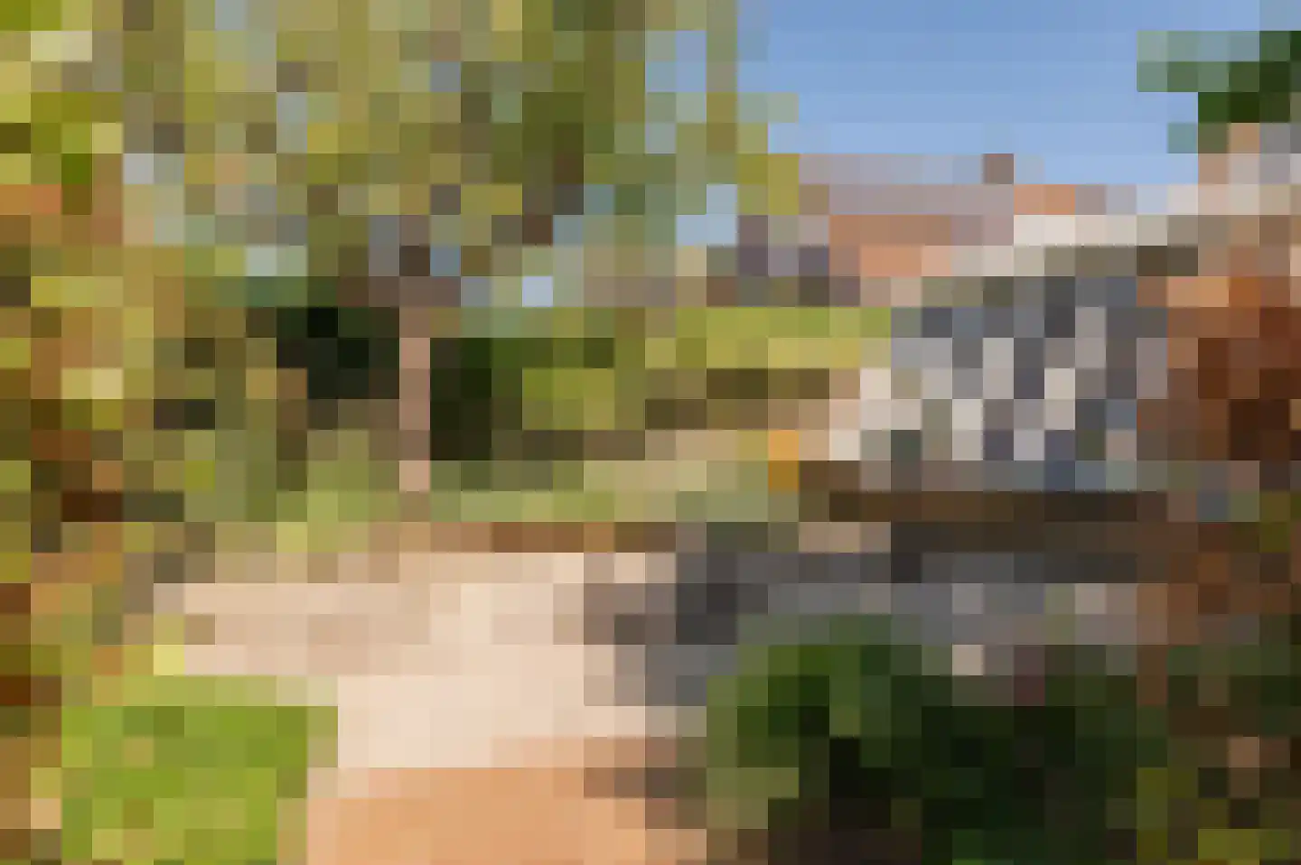 Bikolaan 55 Culemborg thumbnail 33