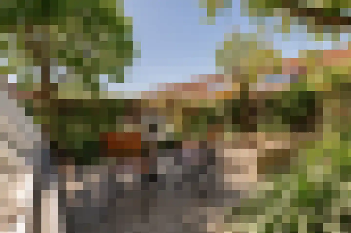 Bikolaan 55 Culemborg thumbnail 38