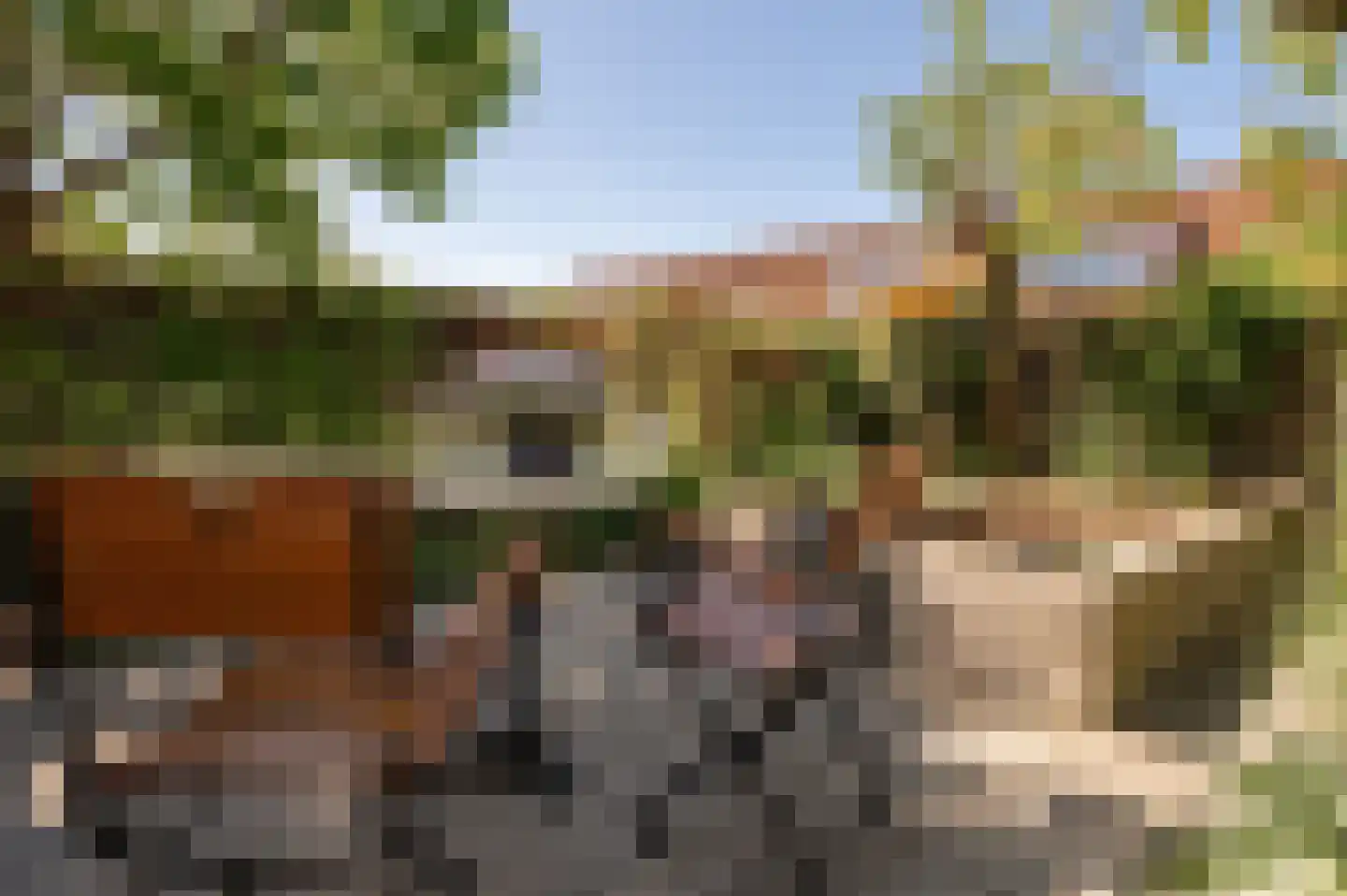 Bikolaan 55 Culemborg thumbnail 39