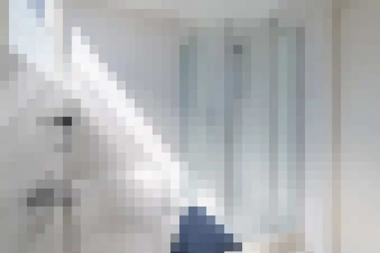 Bikolaan 55 Culemborg thumbnail 58