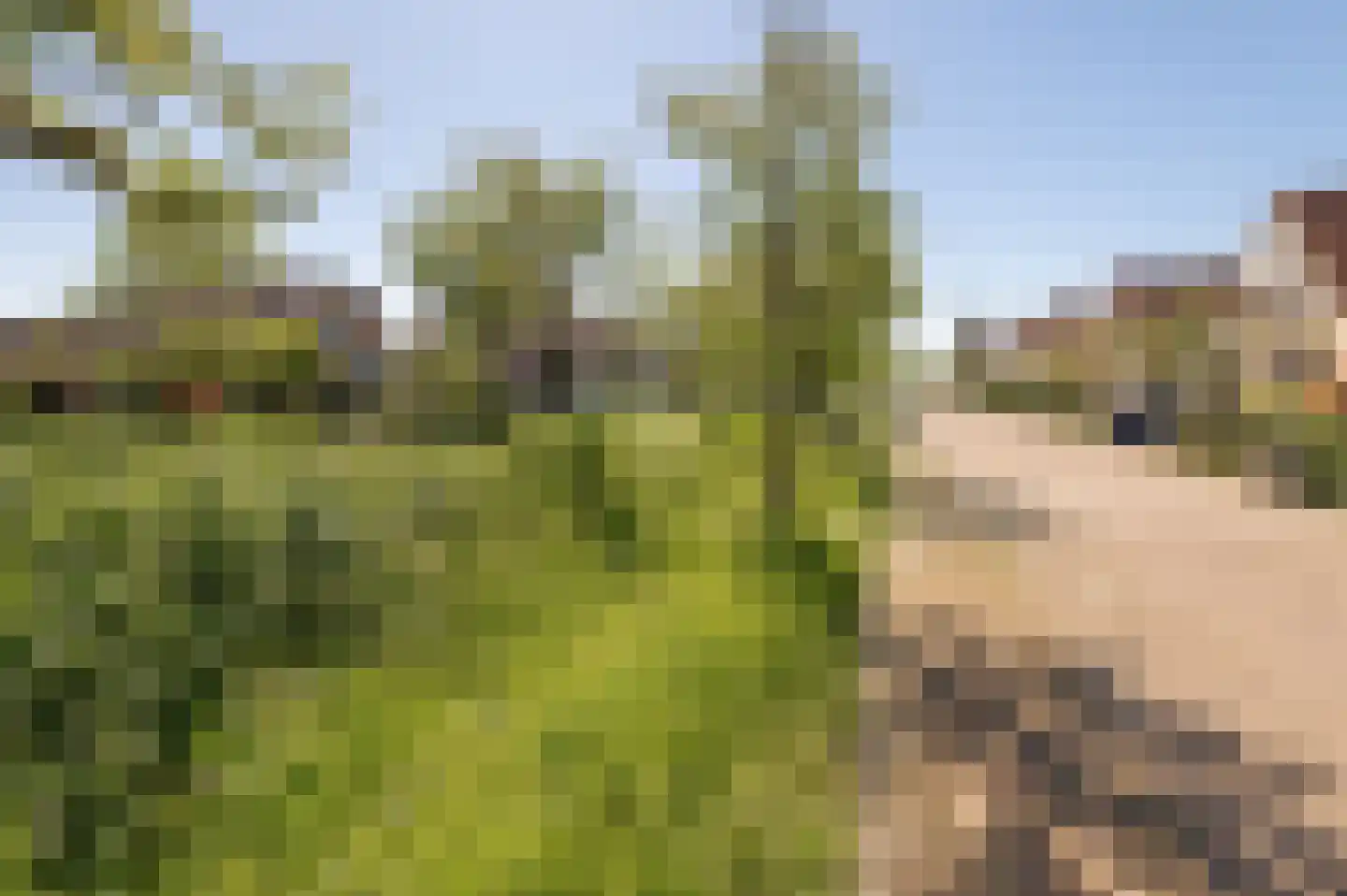 Bikolaan 55 Culemborg thumbnail 68