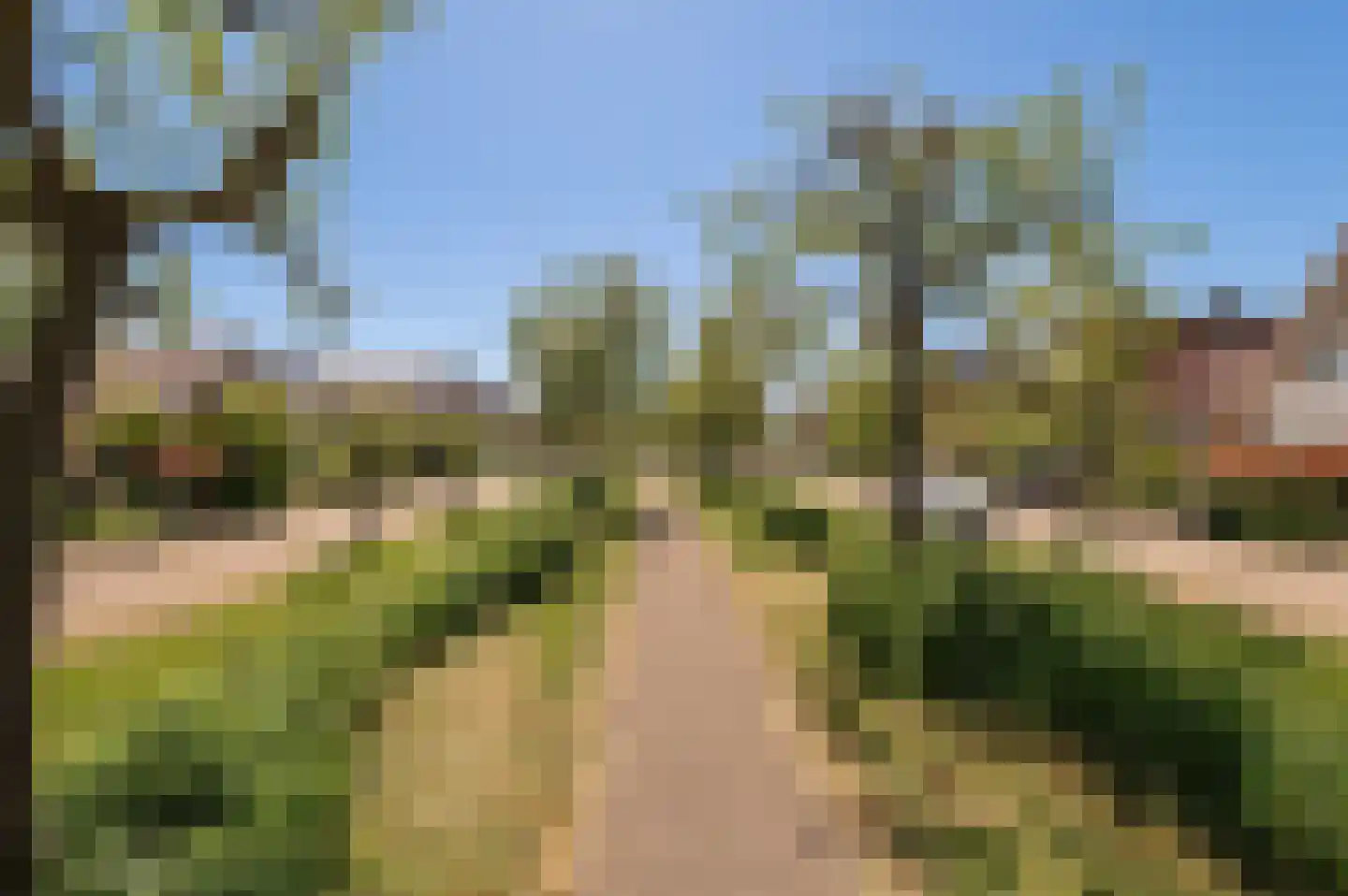 Bikolaan 55 Culemborg thumbnail 69