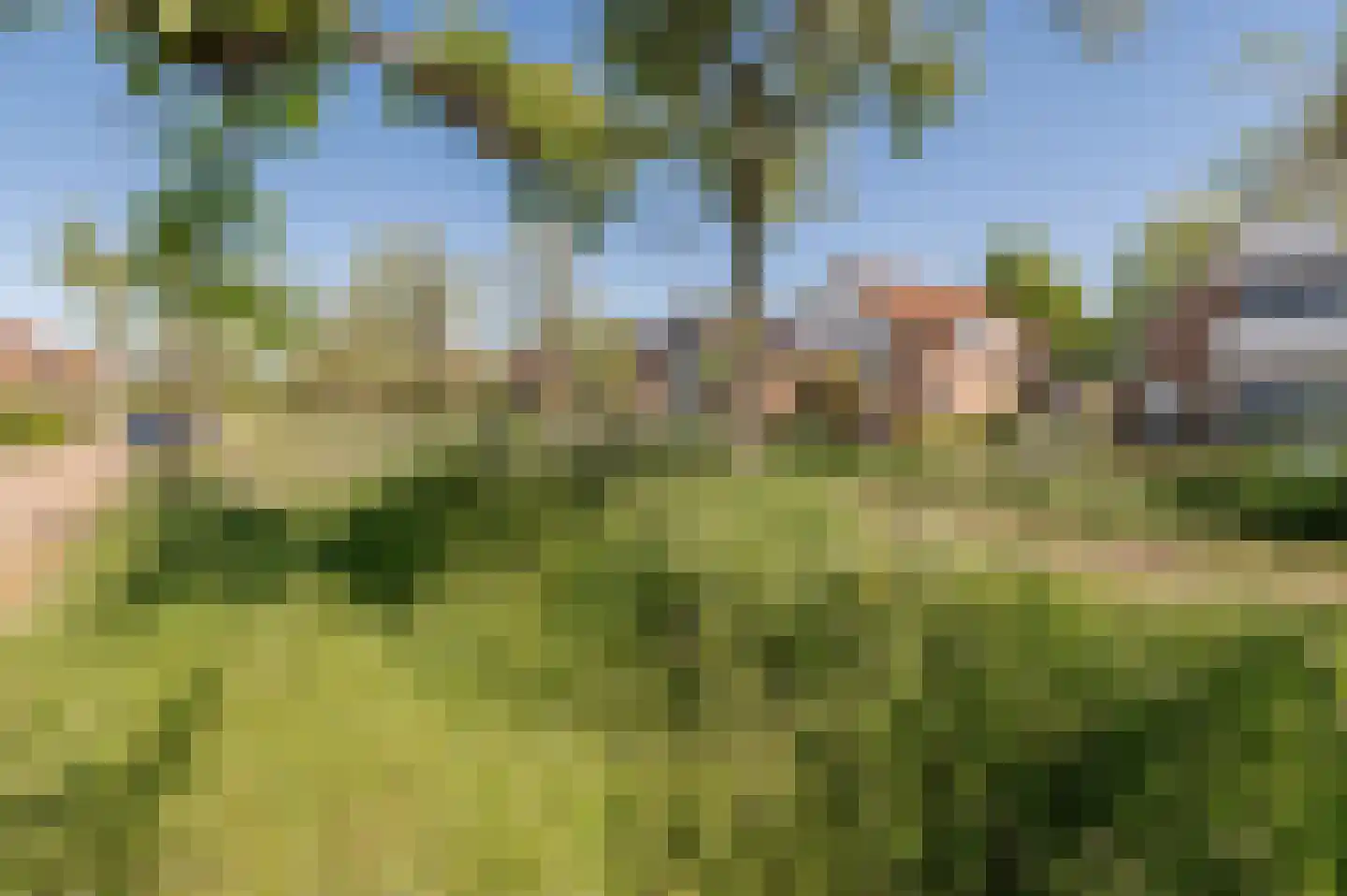 Bikolaan 55 Culemborg thumbnail 70