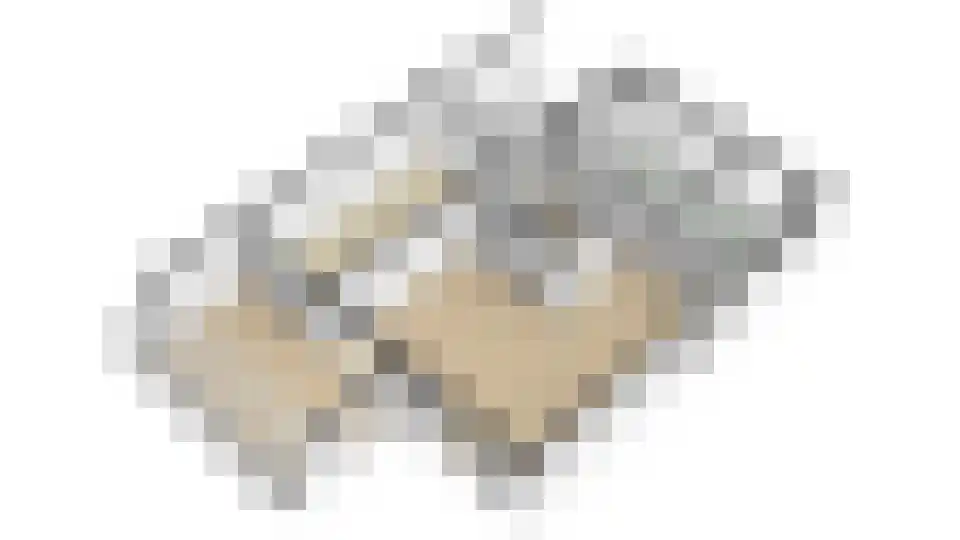 Bikolaan 55 Culemborg thumbnail 72