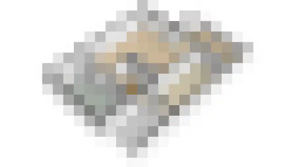 Bikolaan 55 Culemborg thumbnail 73