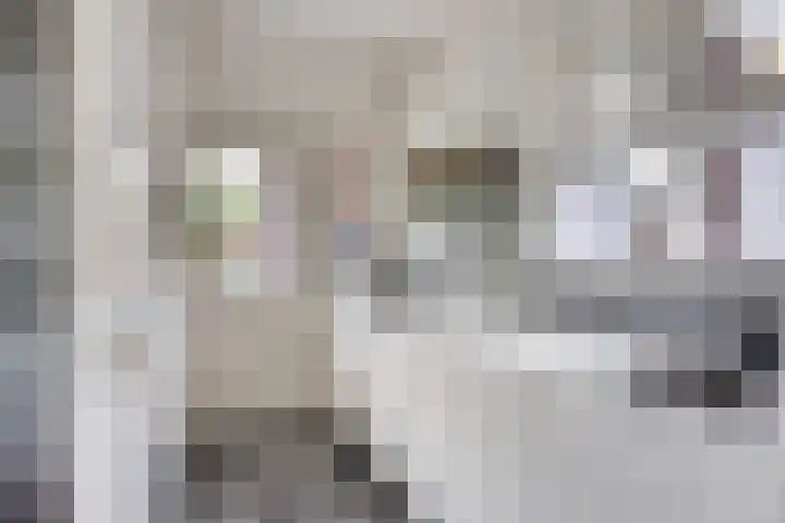 Bilderbeekstraat 1 Boxmeer thumbnail 10
