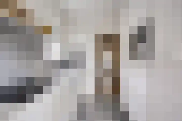 Bilderbeekstraat 1 Boxmeer thumbnail 11