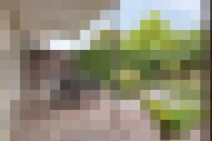 Bilderbeekstraat 1 Boxmeer thumbnail 21