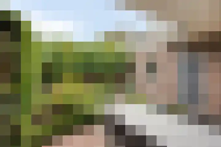 Bilderbeekstraat 1 Boxmeer thumbnail 22