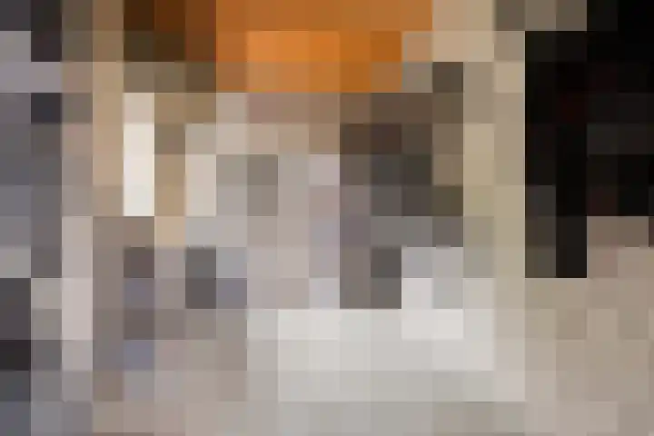 Bilderbeekstraat 1 Boxmeer thumbnail 23
