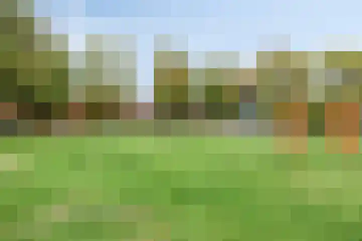 Bilderbeekstraat 1 Boxmeer thumbnail 26