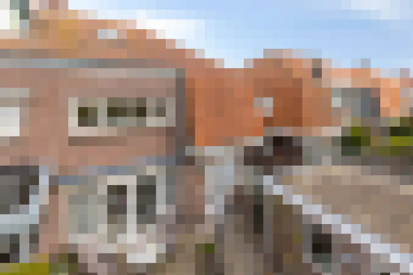 Bilderbeekstraat 3 Boxmeer thumbnail 20