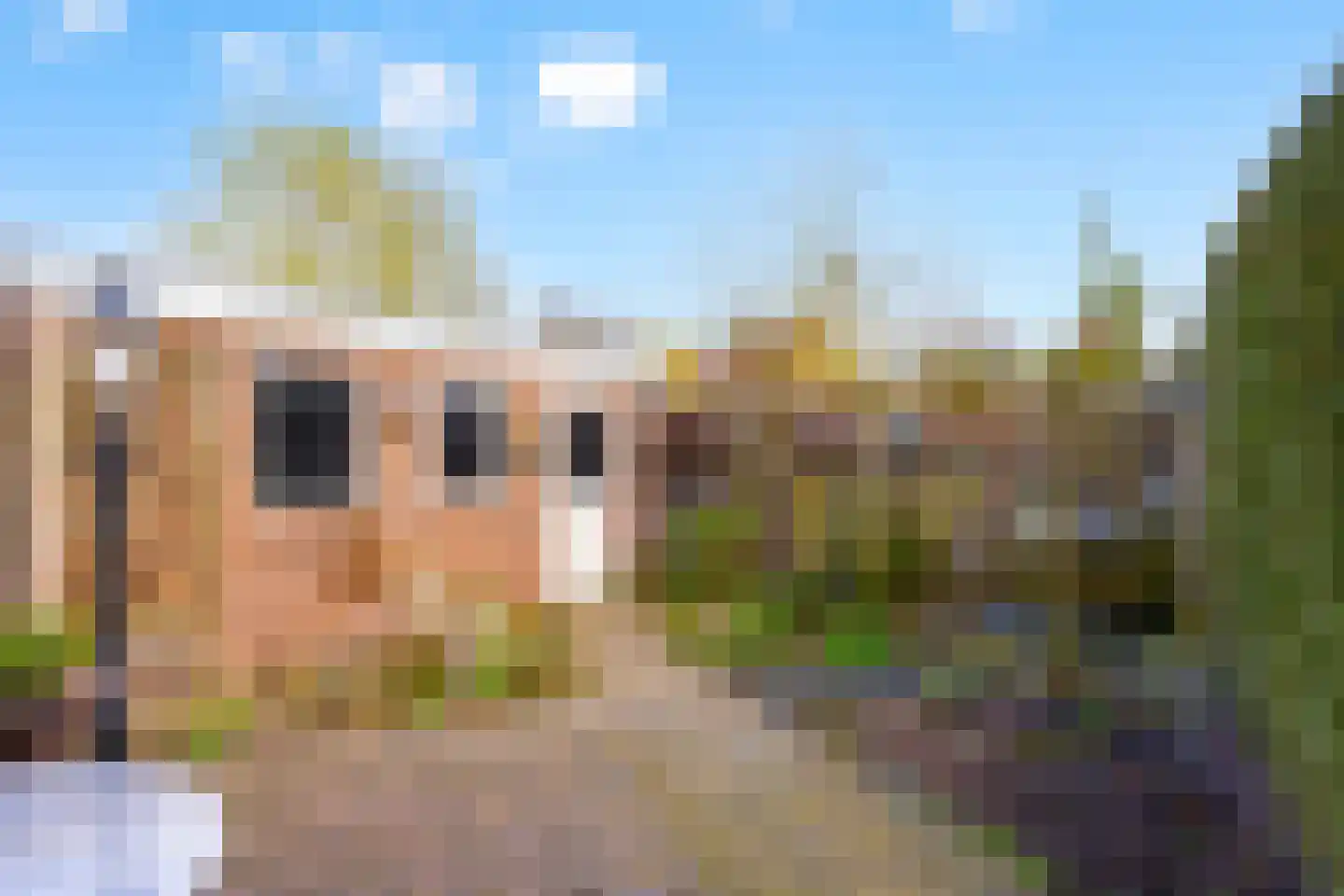 Bilderbeekstraat 3 Boxmeer thumbnail 23