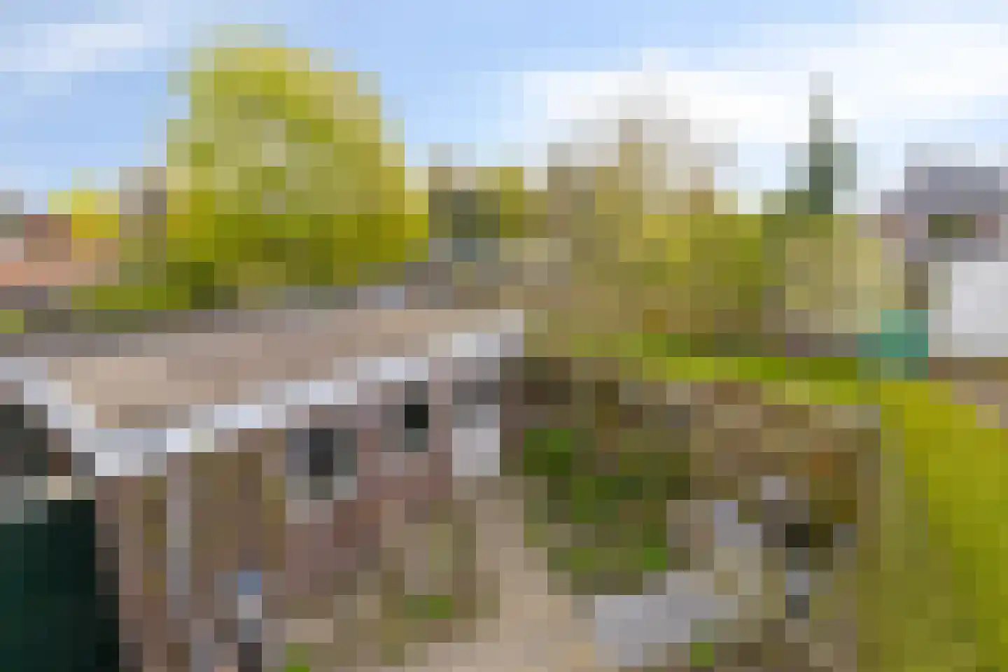 Bilderbeekstraat 3 Boxmeer thumbnail 24