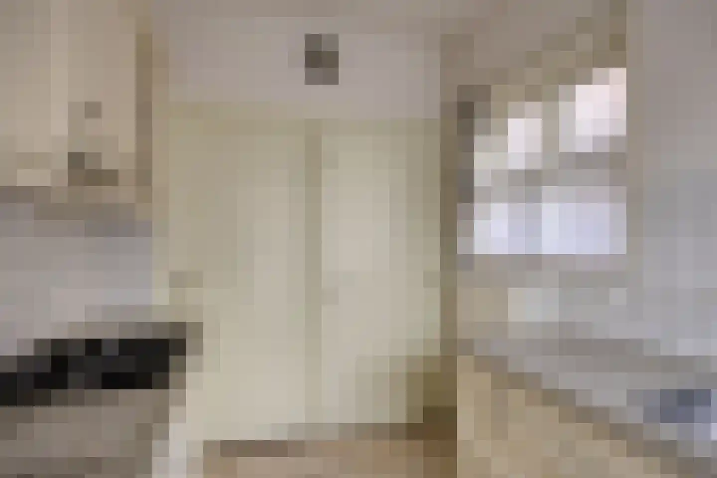 Bilderbeekstraat 3 Boxmeer thumbnail 8
