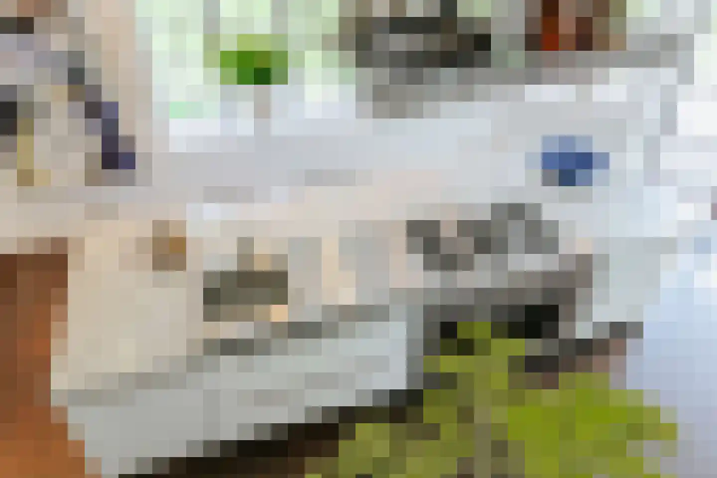 Bilderberglaan 6 Oosterbeek thumbnail 21
