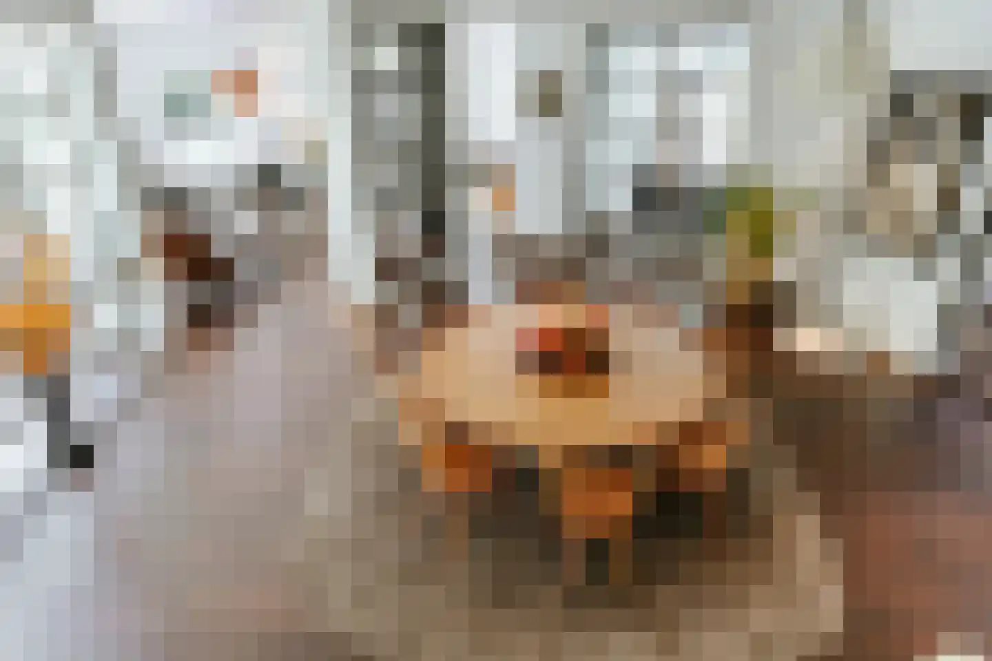 Bilderberglaan 6 Oosterbeek thumbnail 22