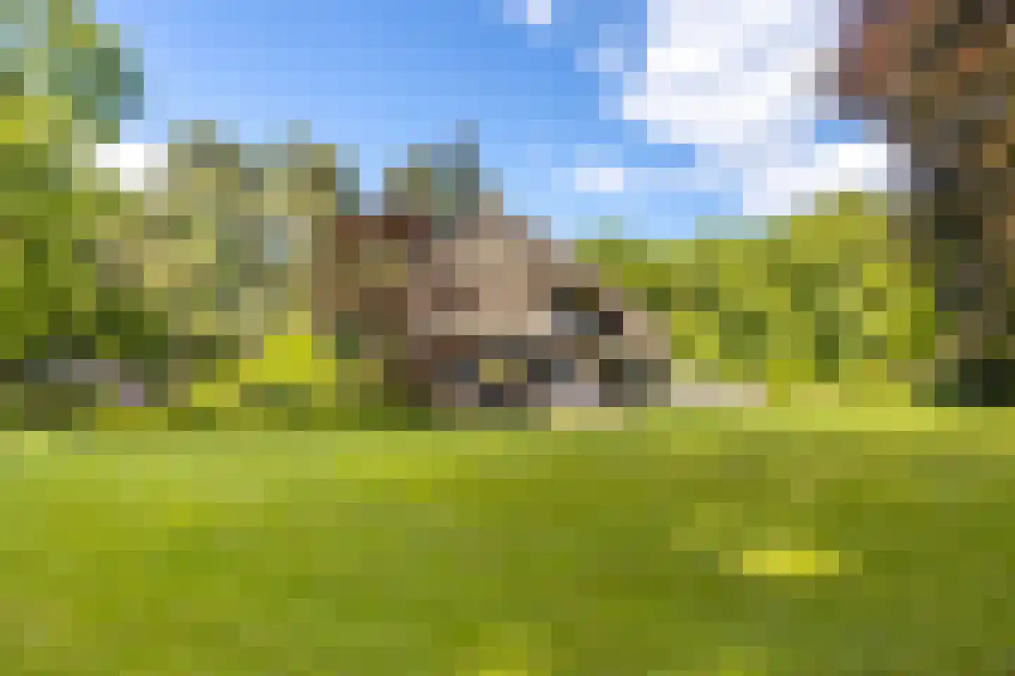 Bilderberglaan 6 Oosterbeek thumbnail 37