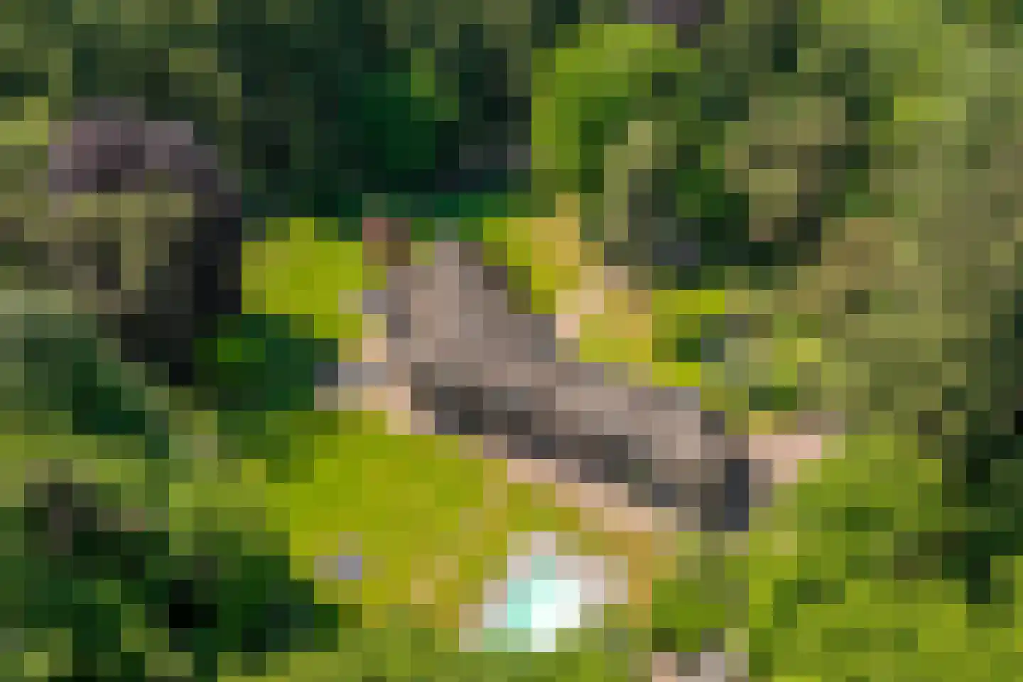Bilderberglaan 6 Oosterbeek thumbnail 44