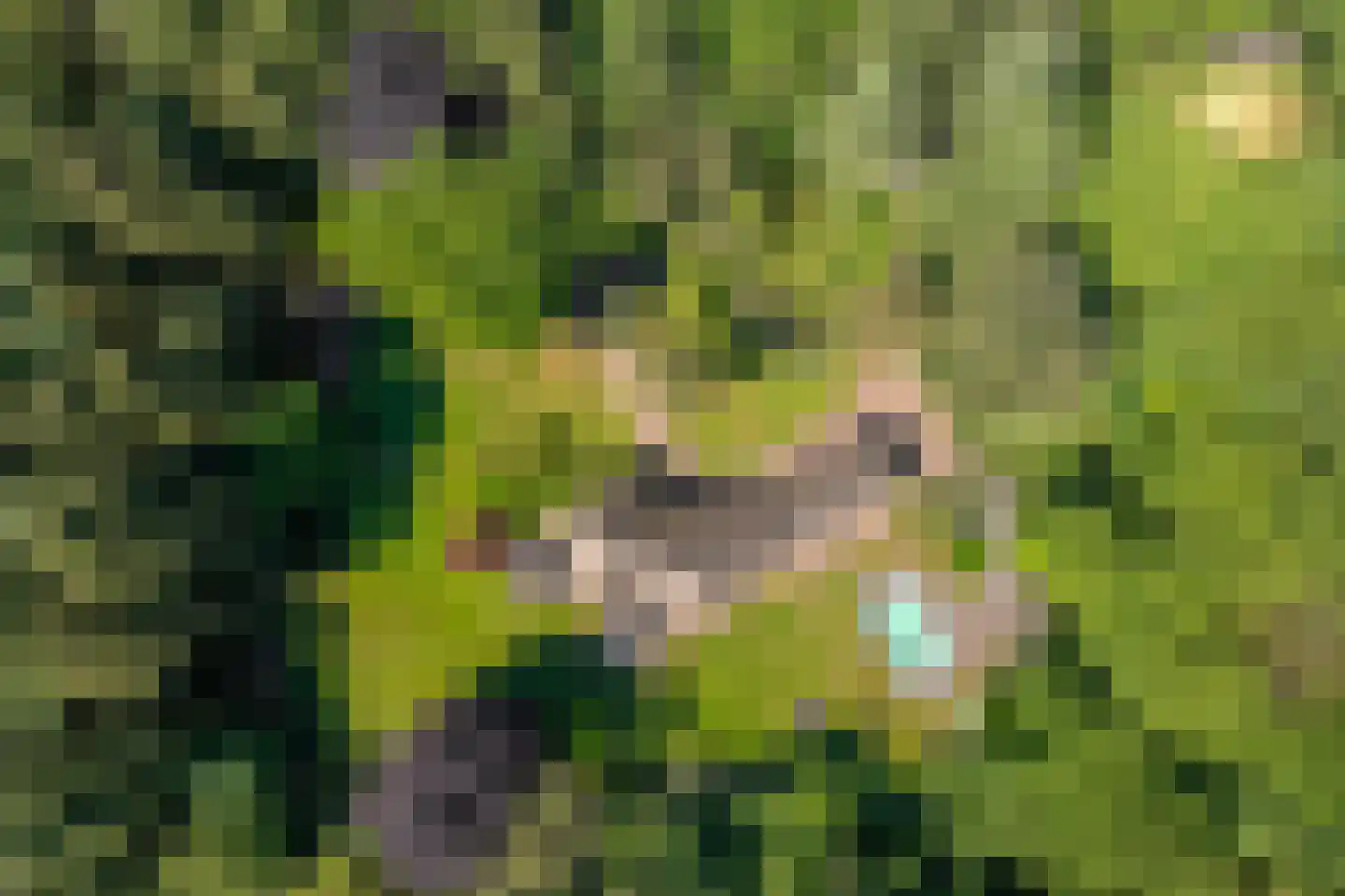Bilderberglaan 6 Oosterbeek thumbnail 48