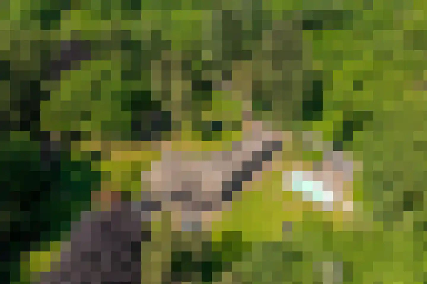 Bilderberglaan 6 Oosterbeek thumbnail 51