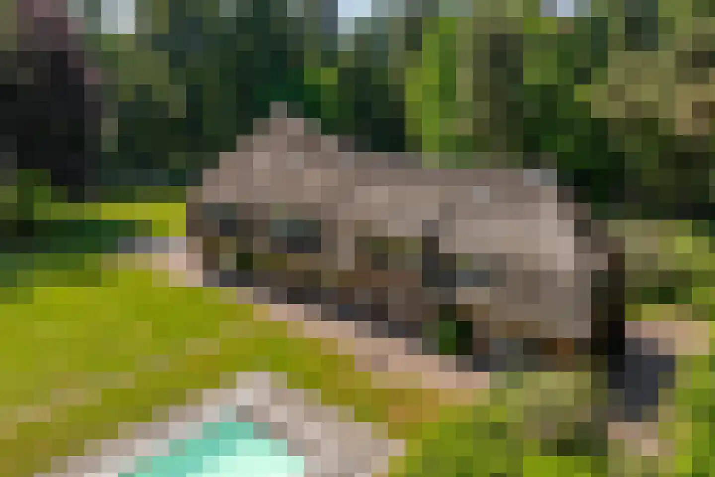 Bilderberglaan 6 Oosterbeek thumbnail 54