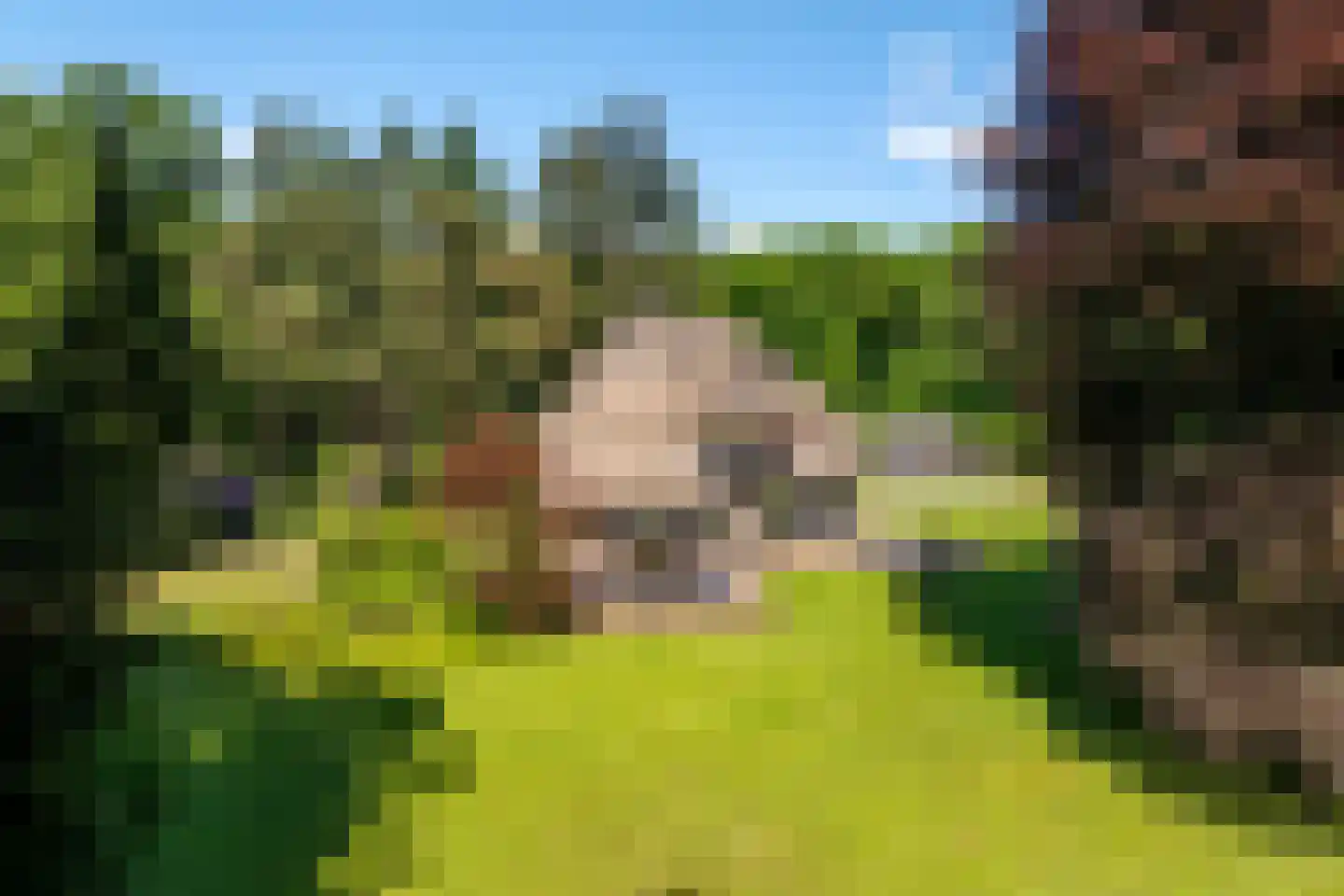 Bilderberglaan 6 Oosterbeek thumbnail 59