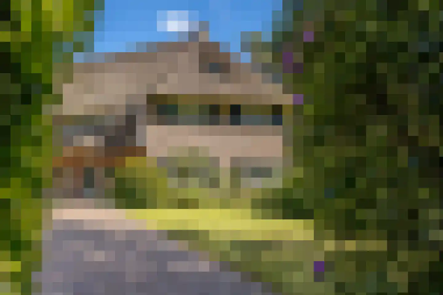 Bilderberglaan 6 Oosterbeek thumbnail 6