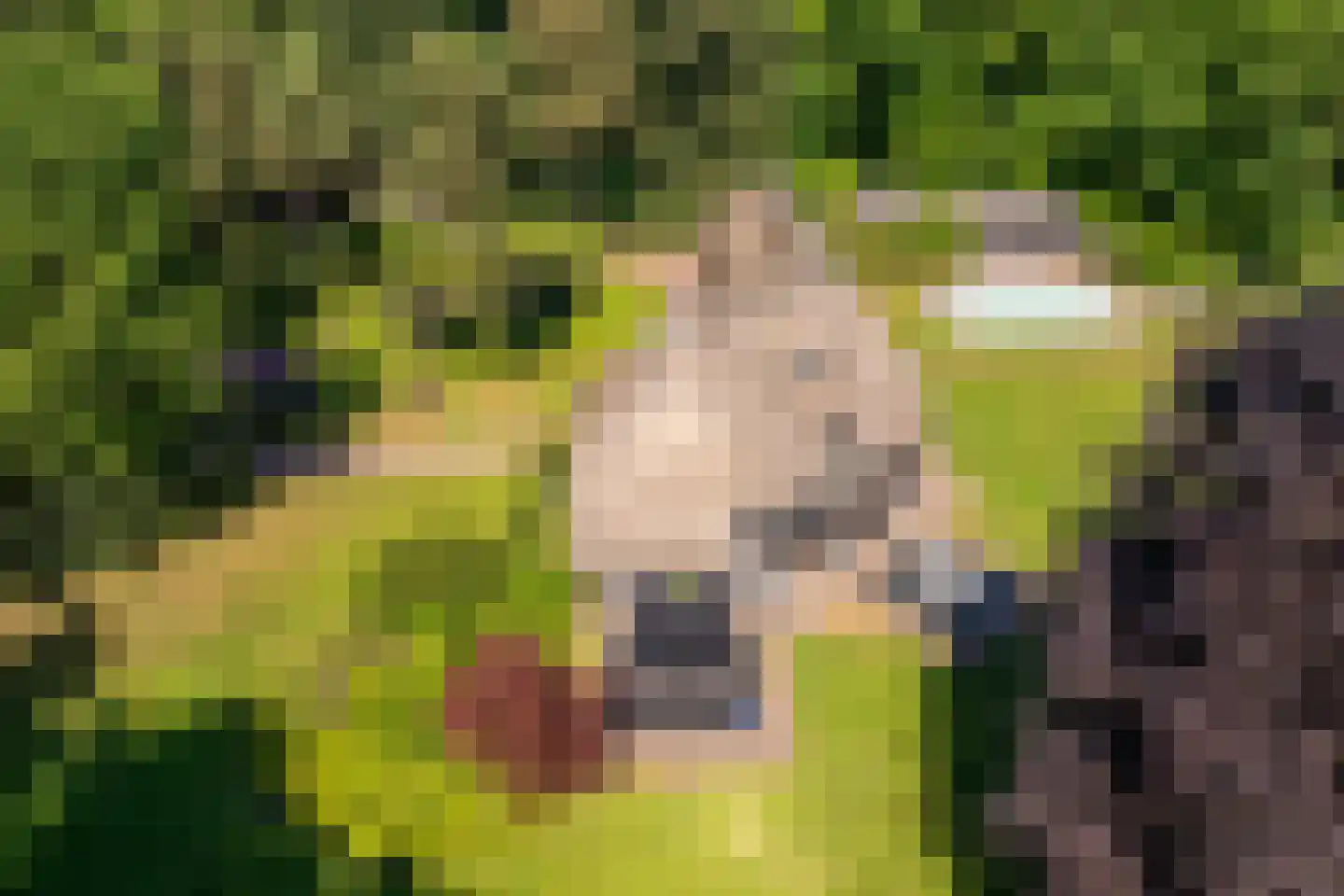 Bilderberglaan 6 Oosterbeek thumbnail 60