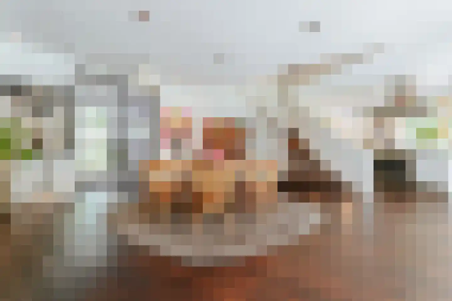 Bilderberglaan 6 Oosterbeek thumbnail 8